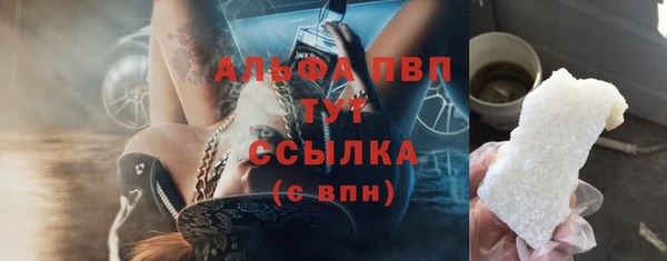 гидра Алексеевка