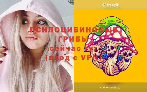 гидра Алексеевка