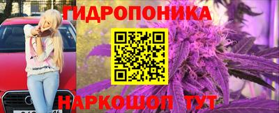 не бодяженный Гатчина