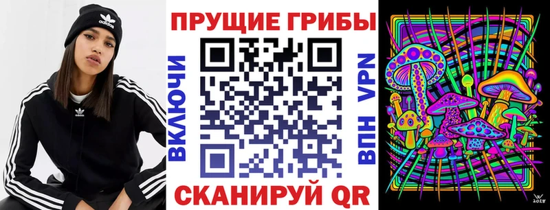 как найти закладки  Туймазы  Галлюциногенные грибы GOLDEN TEACHER 