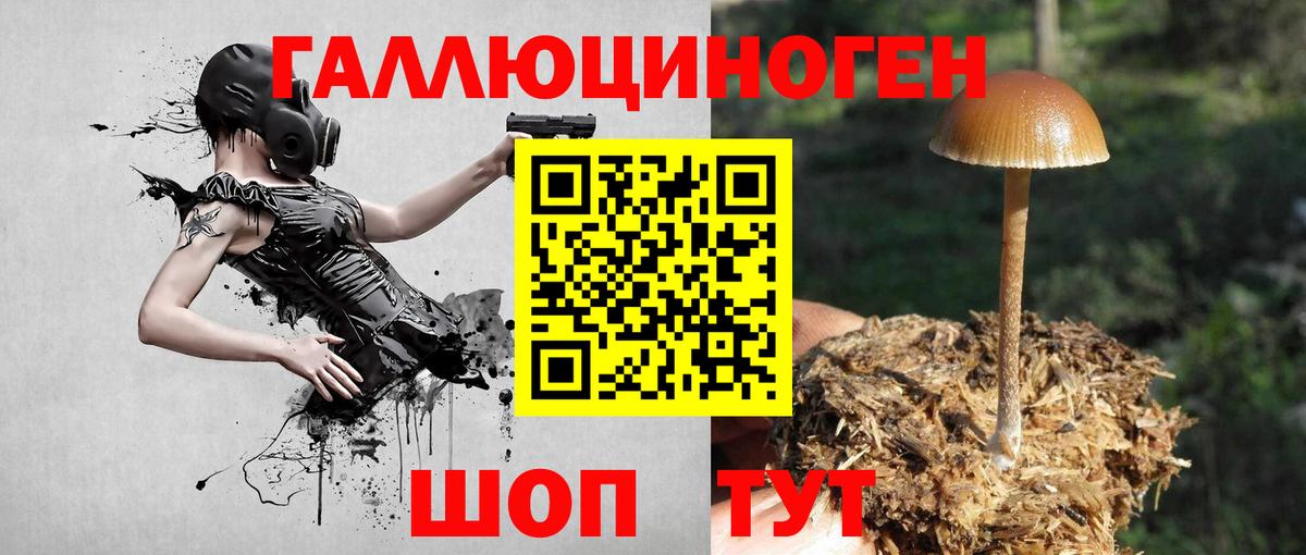 Туймазы  Псилоцибиновые грибы мицелий  Вход с VPN  Галлюциногенные грибы Magic Shrooms 