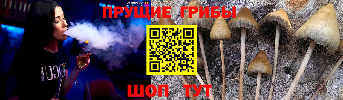 Галлюциногенные грибы мицелий Туймазы